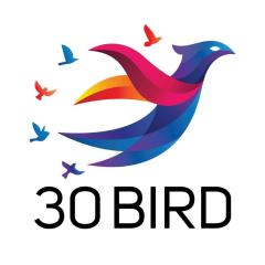 30 Bird Media